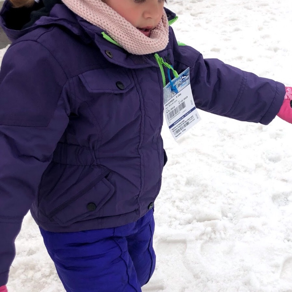 Winter Jacket with puffer Jacket Insert - Picture 2 of 8